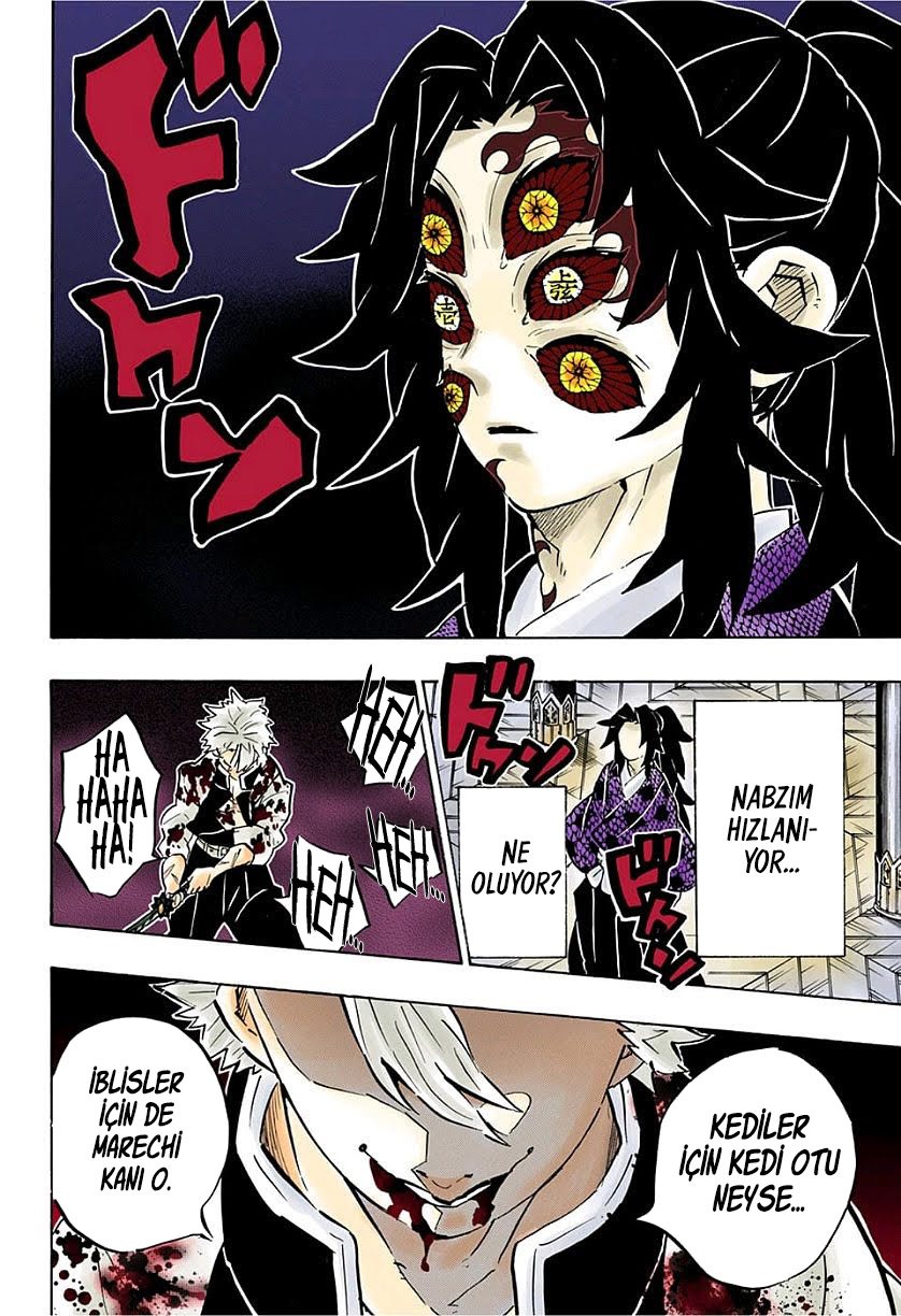 Demon Slayer Bölüm 167 - Sayfa 17
