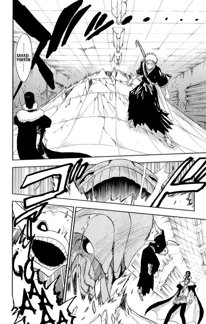 Bleach Bölüm 31 - Sayfa 15