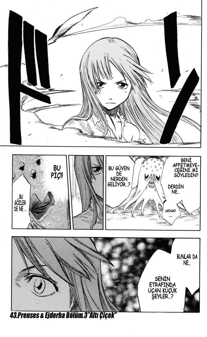 Bleach Bölüm 43 - Sayfa 1