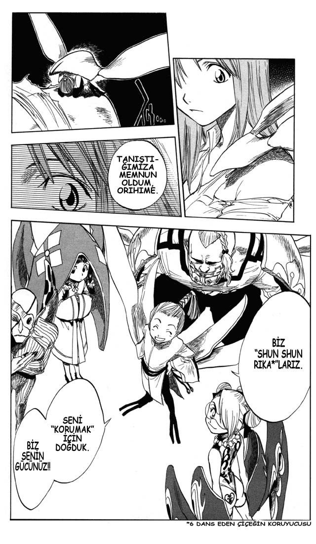 Bleach Bölüm 43 - Sayfa 4