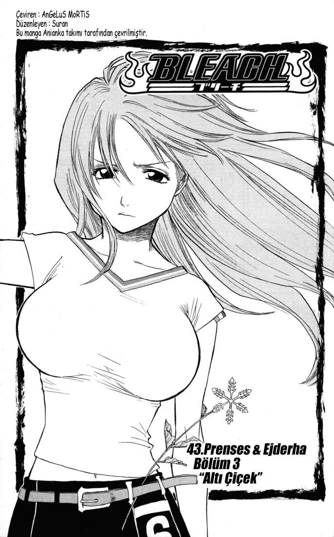 Bleach Bölüm 43 - Sayfa 5