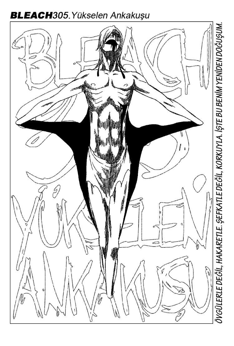 Bleach Bölüm 305 - Sayfa 4