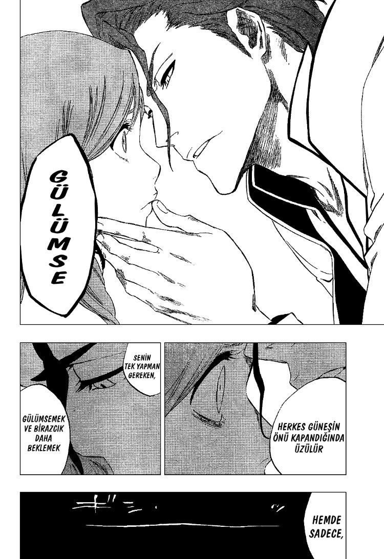 Bleach Bölüm 313 - Sayfa 17