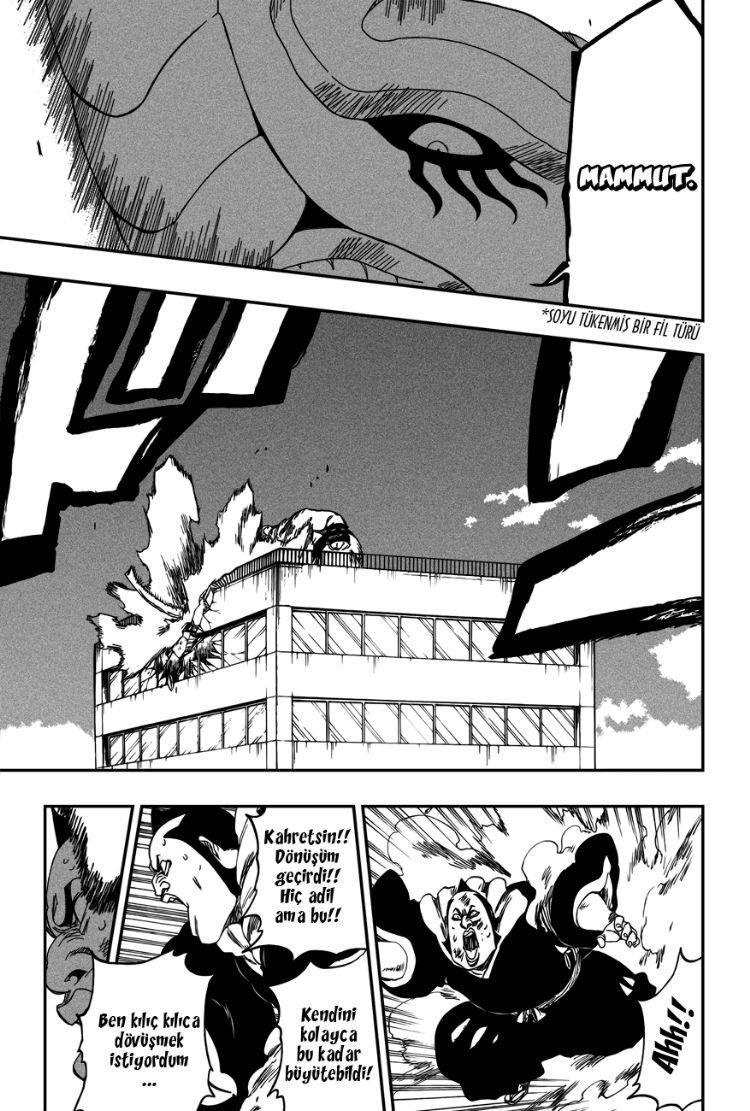 Bleach Bölüm 331 - Sayfa 13