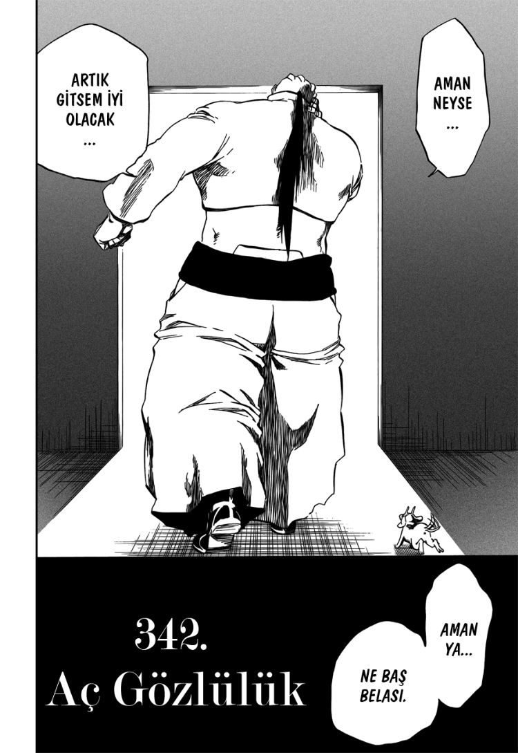 Bleach Bölüm 342 - Sayfa 2
