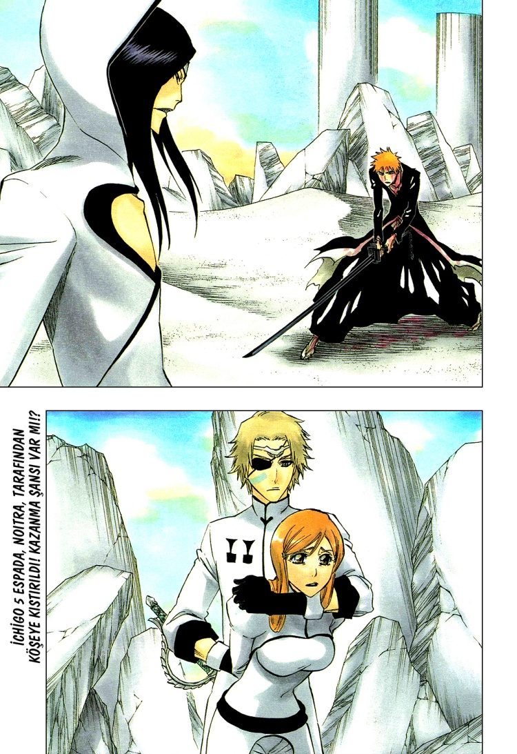 Bleach Bölüm 289 - Sayfa 1