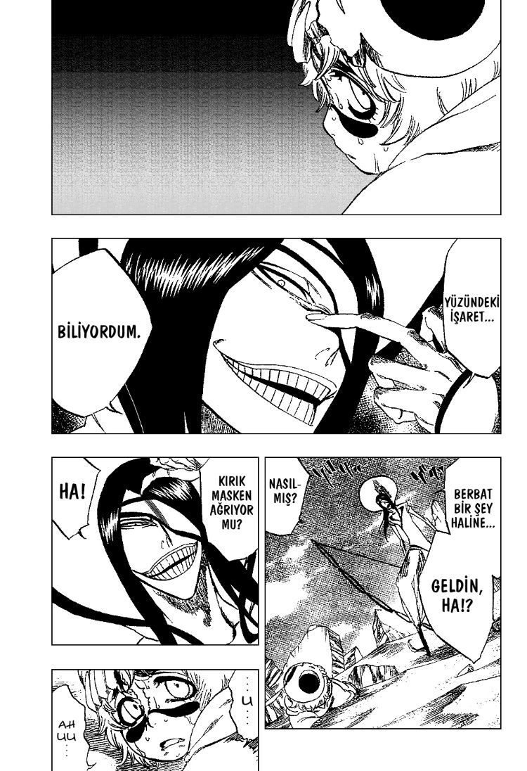Bleach Bölüm 289 - Sayfa 13