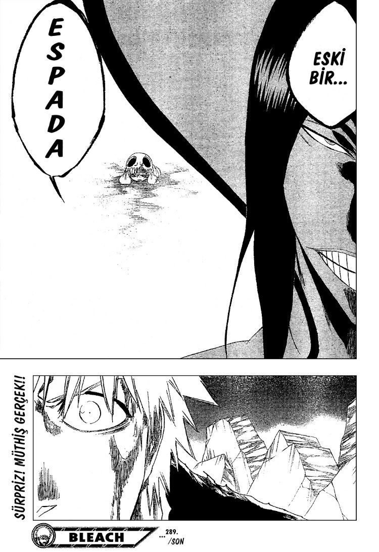 Bleach Bölüm 289 - Sayfa 19