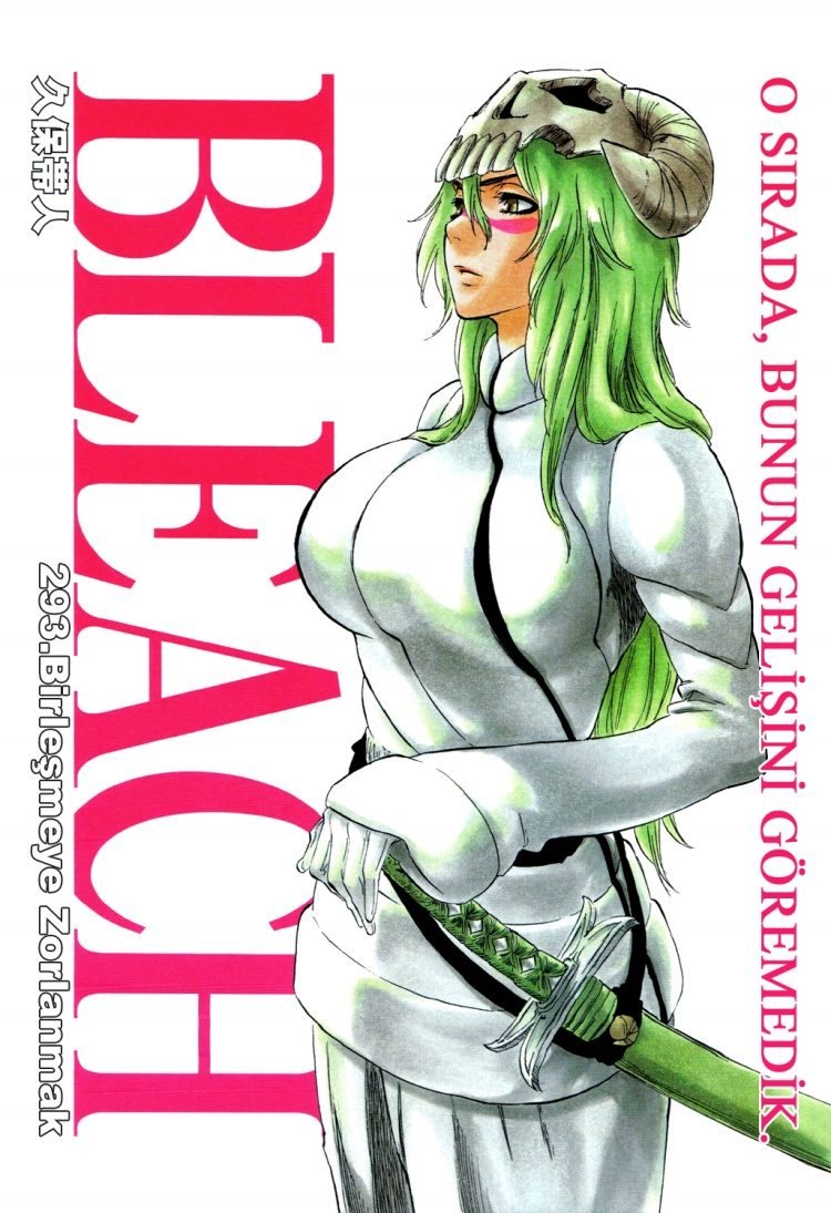 Bleach Bölüm 293 - Sayfa 1