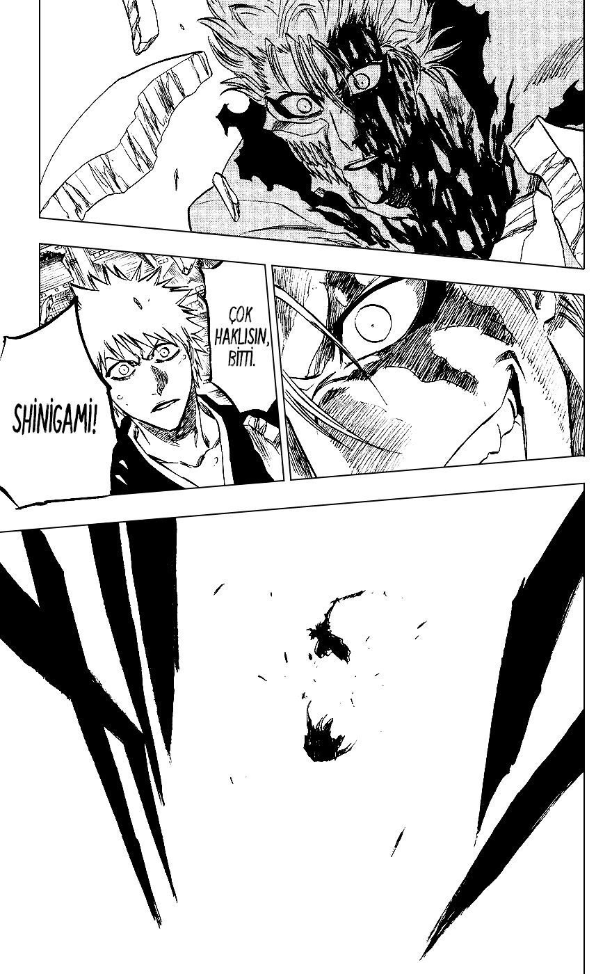 Bleach Bölüm 232 - Sayfa 20