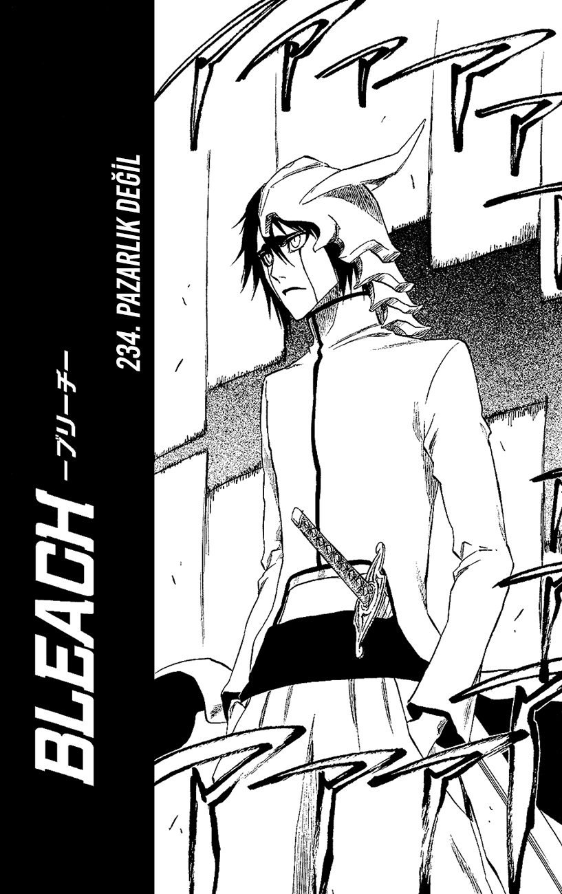 Bleach Bölüm 234 - Sayfa 5