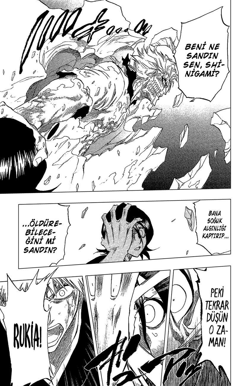Bleach Bölüm 235 - Sayfa 19
