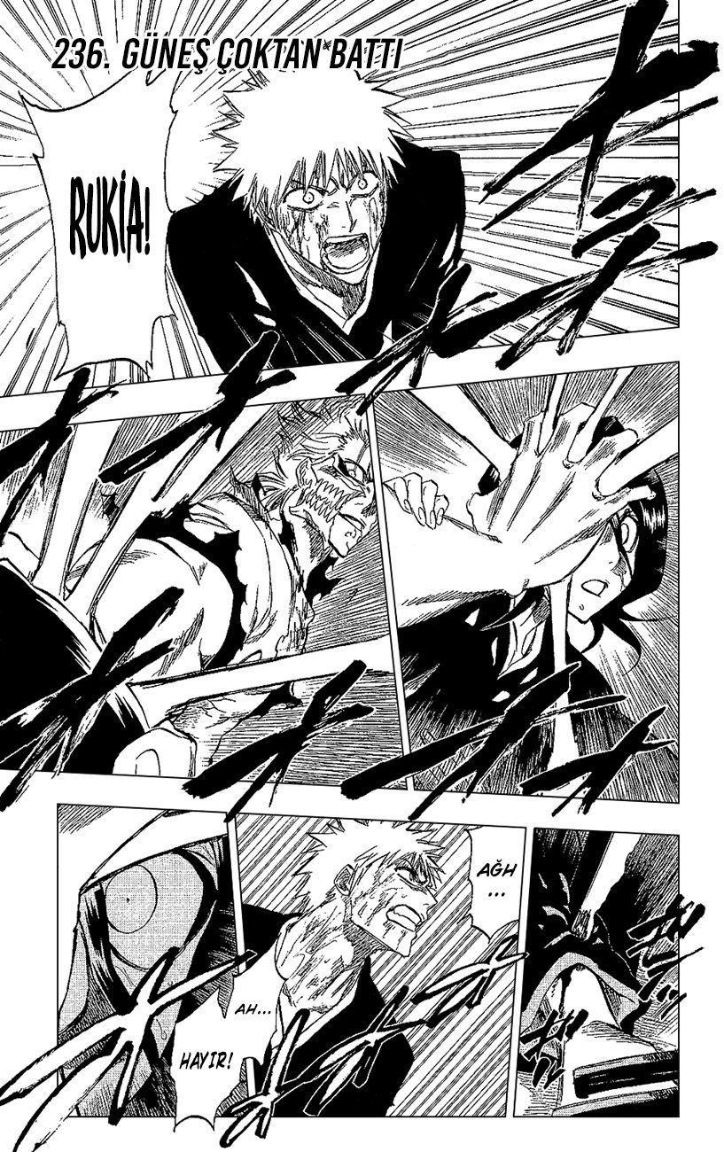 Bleach Bölüm 236 - Sayfa 1