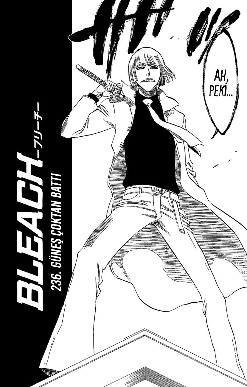 Bleach Bölüm 236 - Sayfa 4