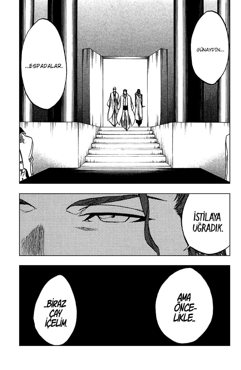 Bleach Bölüm 244 - Sayfa 17