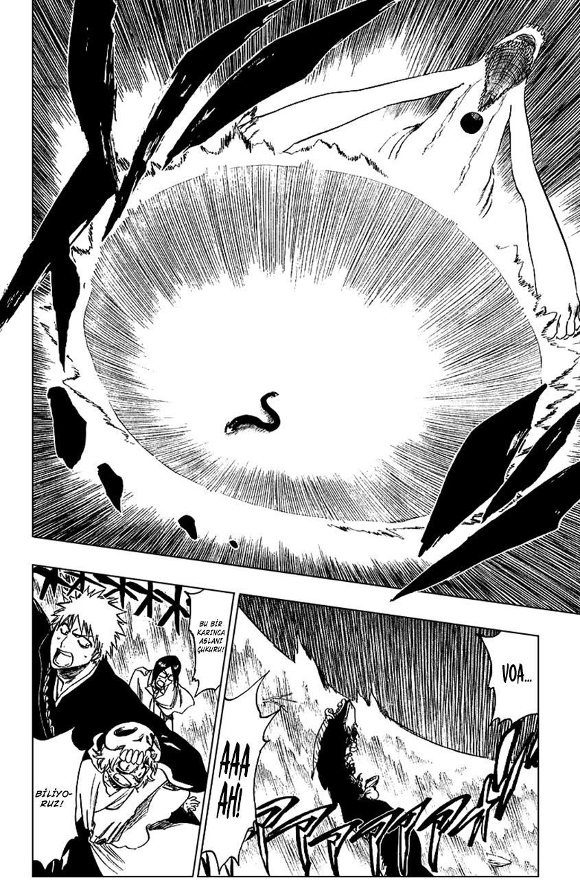 Bleach Bölüm 246 - Sayfa 16