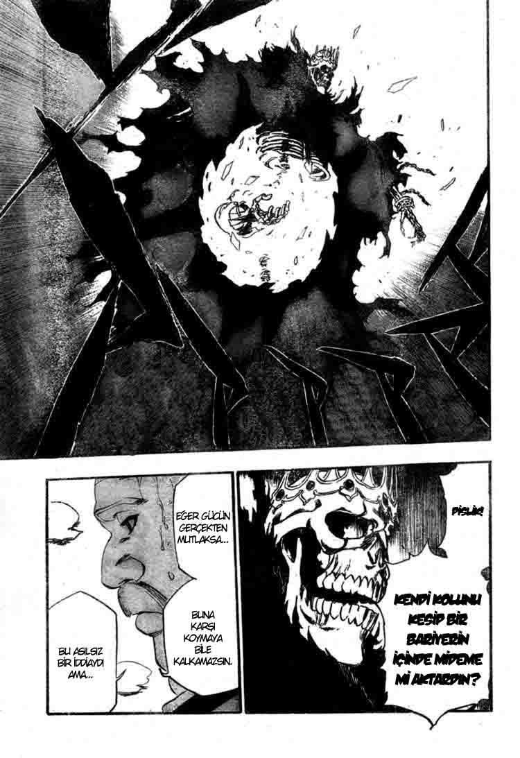 Bleach Bölüm 370 - Sayfa 17