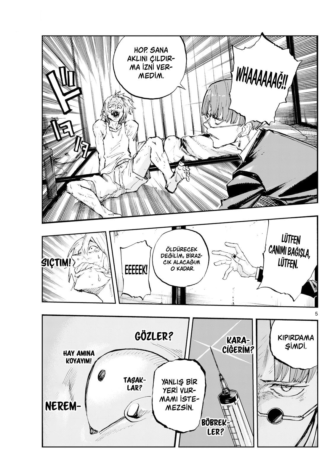 Sayfa 5