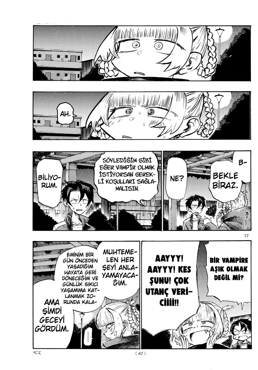 Sayfa 17