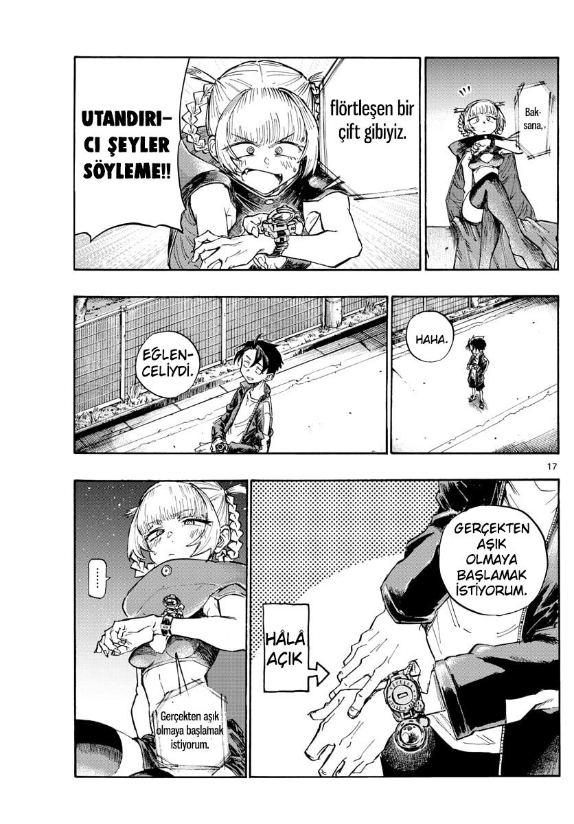 Sayfa 17