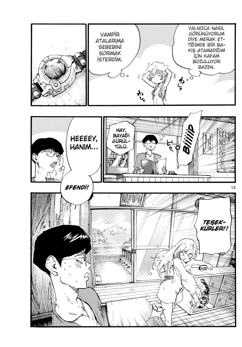 Sayfa 13