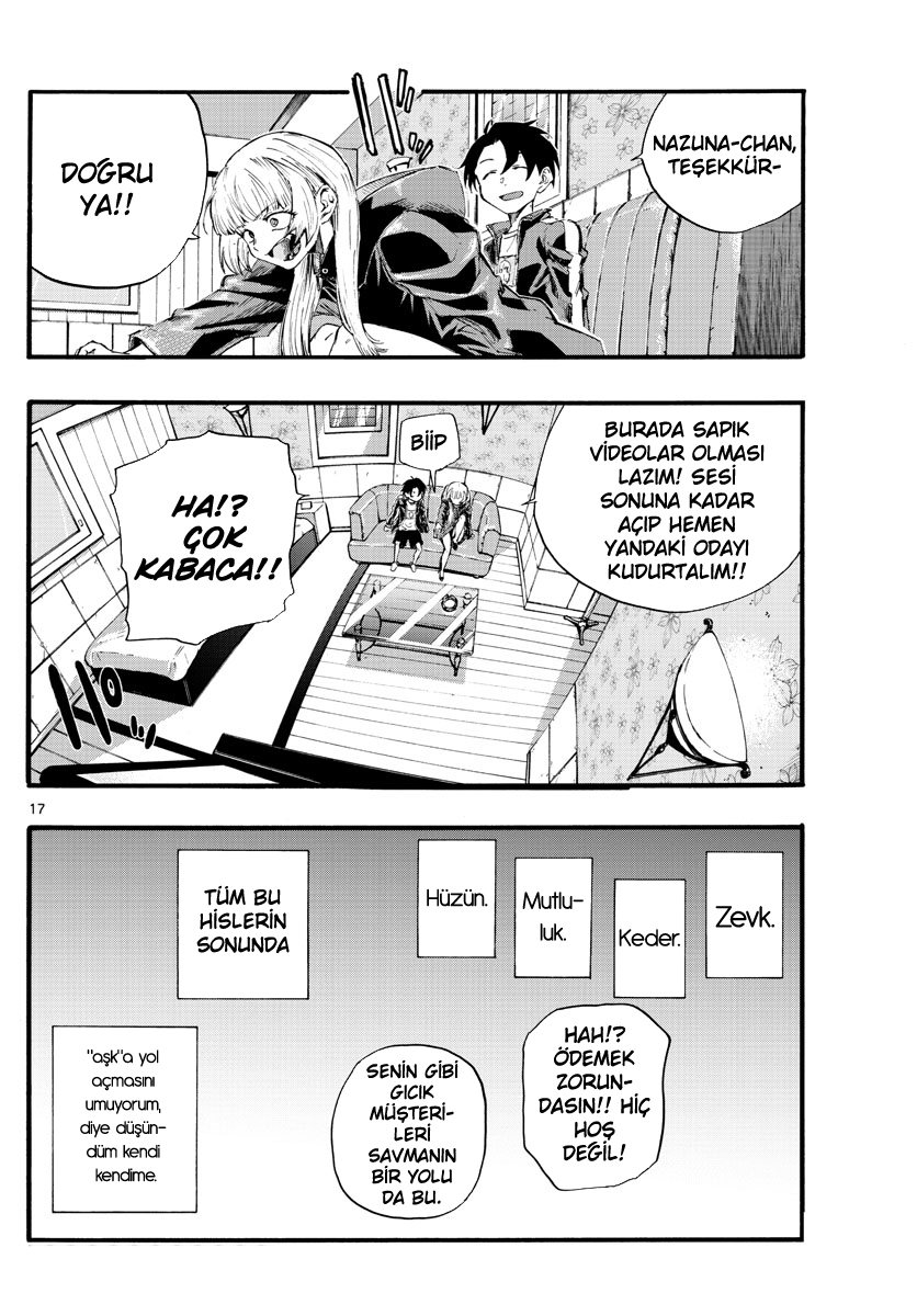 Sayfa 17
