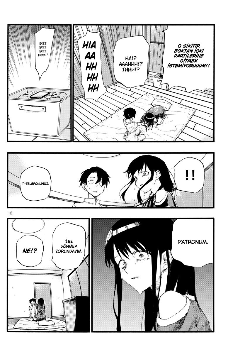 Sayfa 12