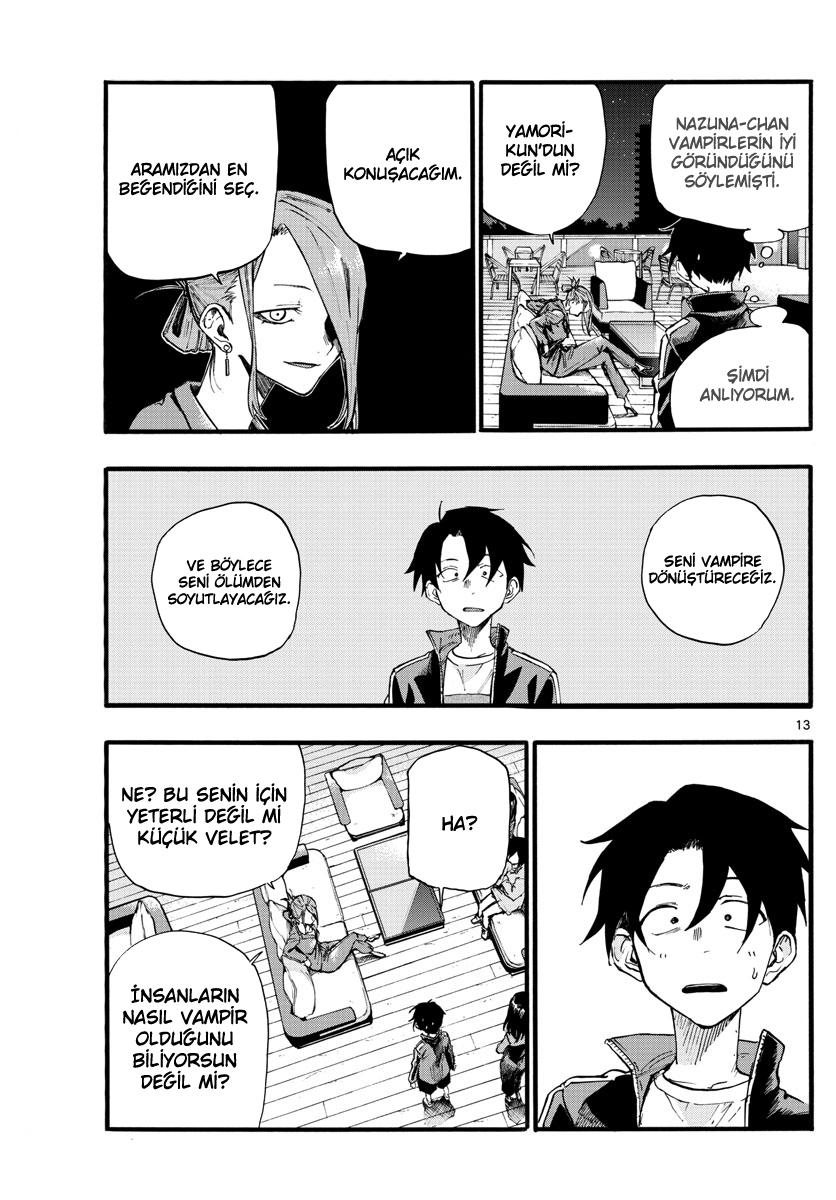 Sayfa 13