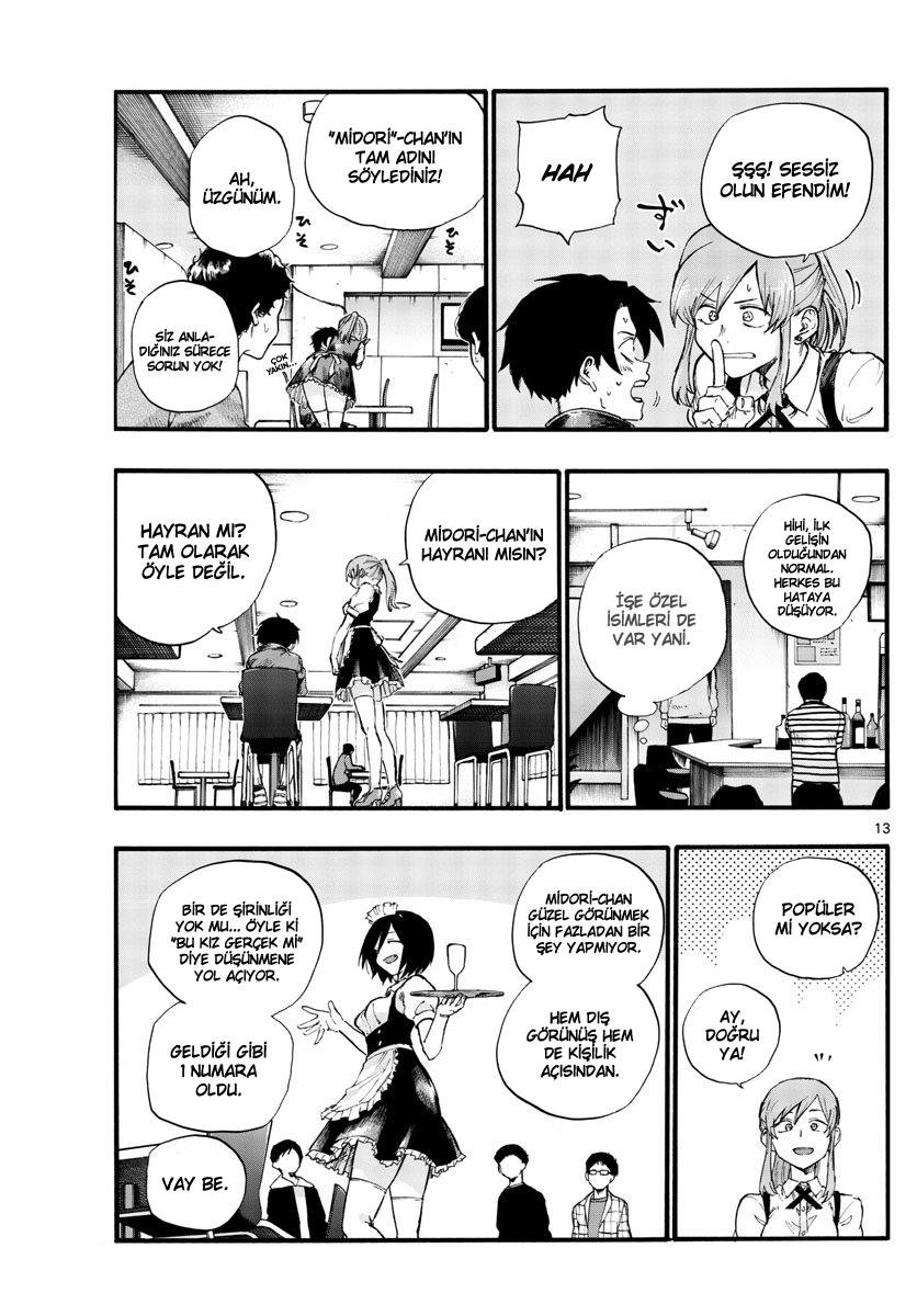 Sayfa 13