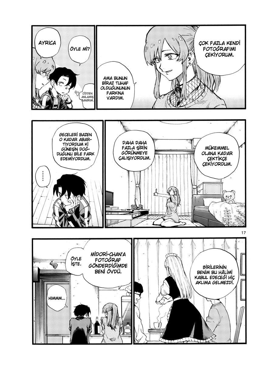 Sayfa 17