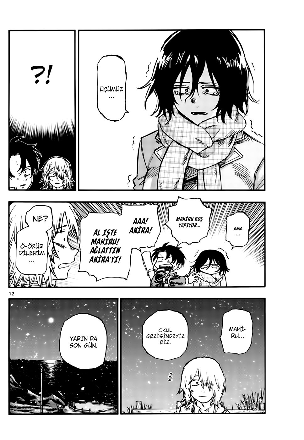 Sayfa 12