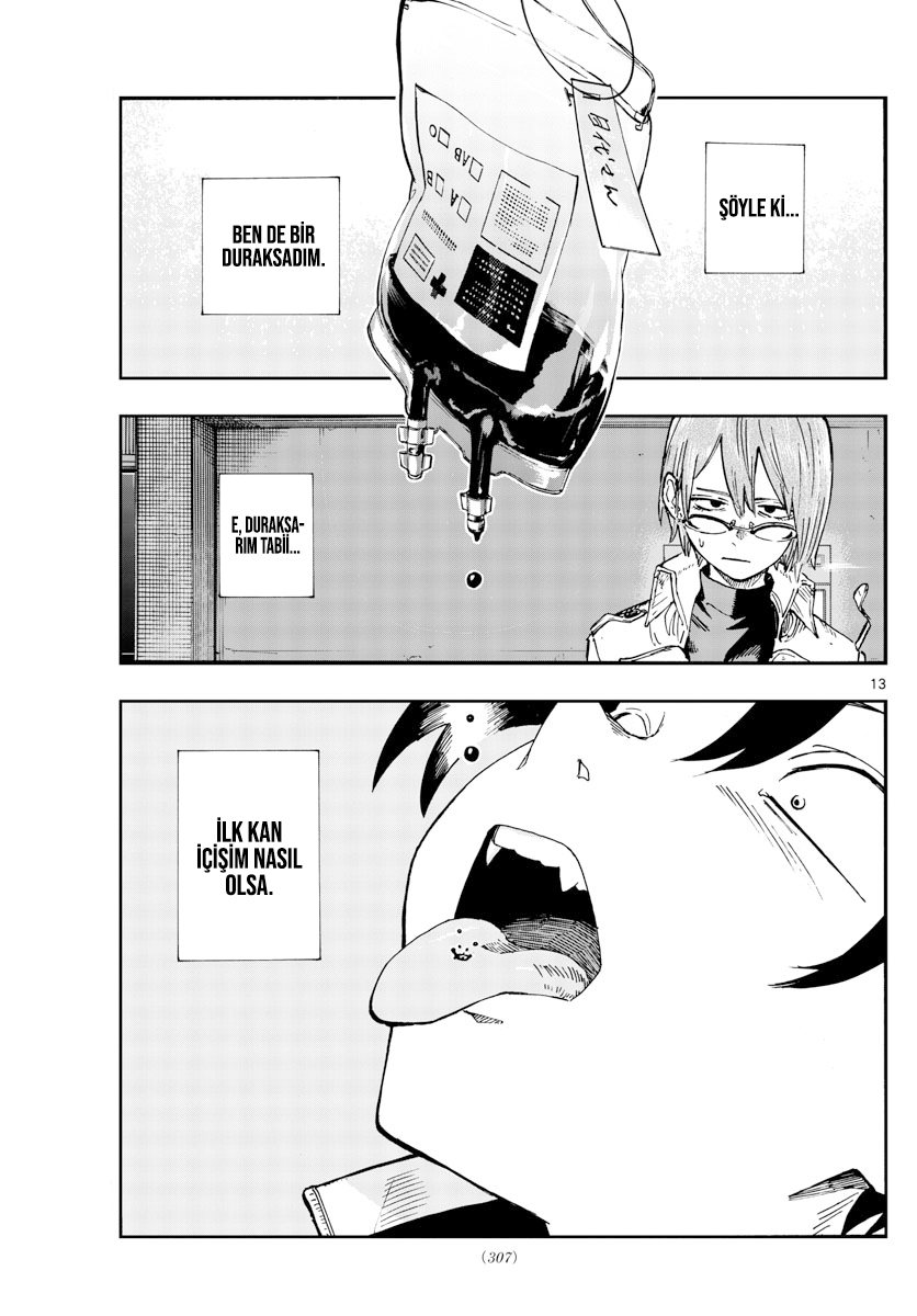 Sayfa 13