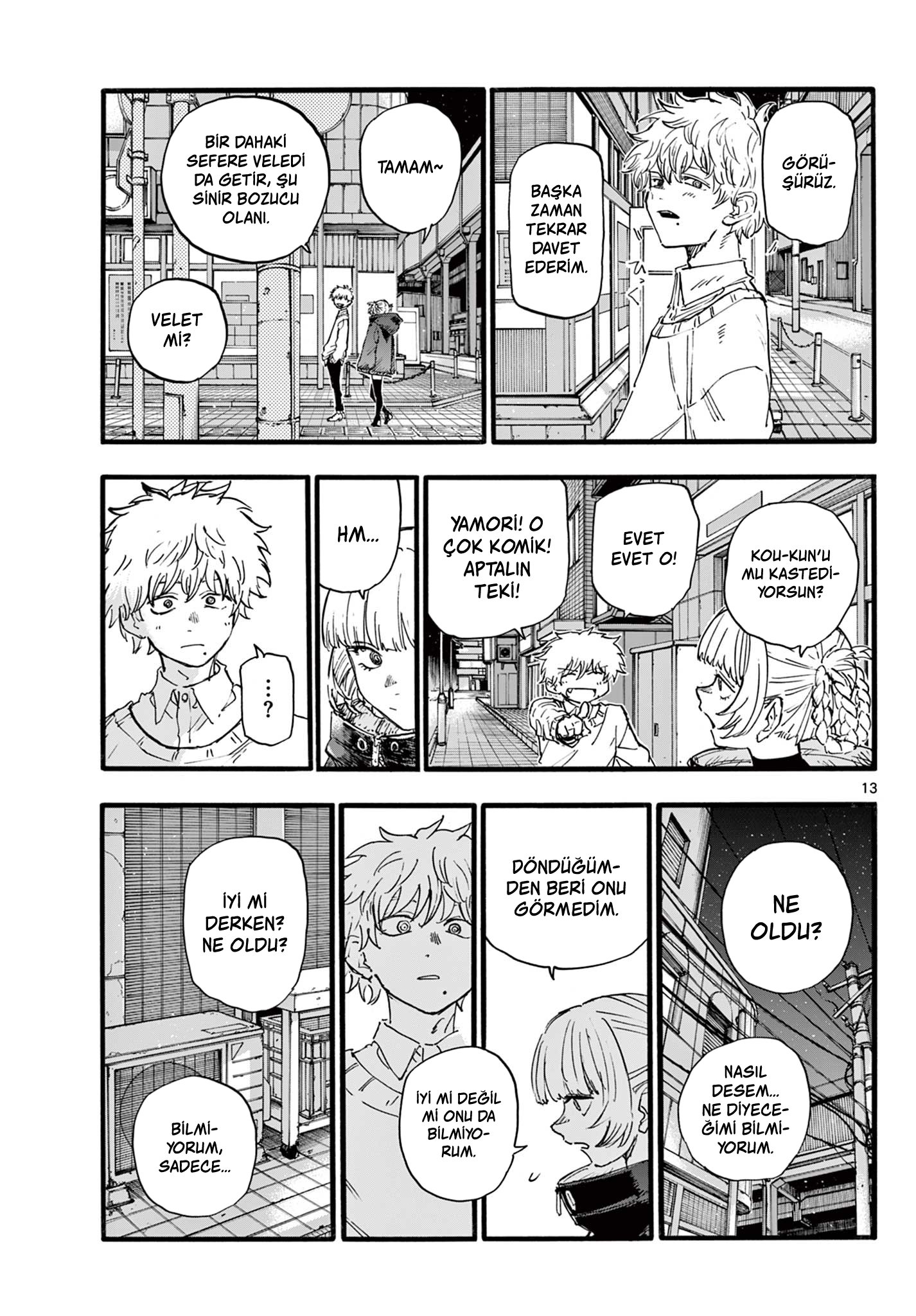Sayfa 13