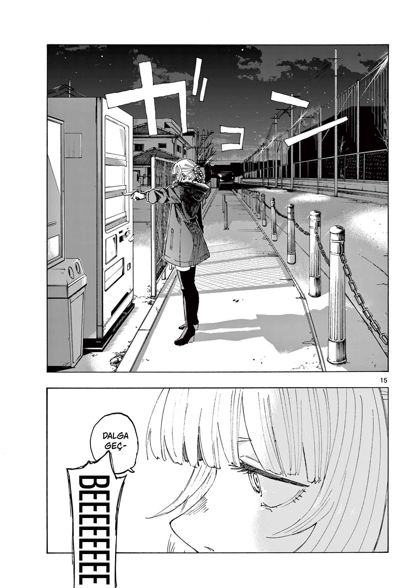 Sayfa 15