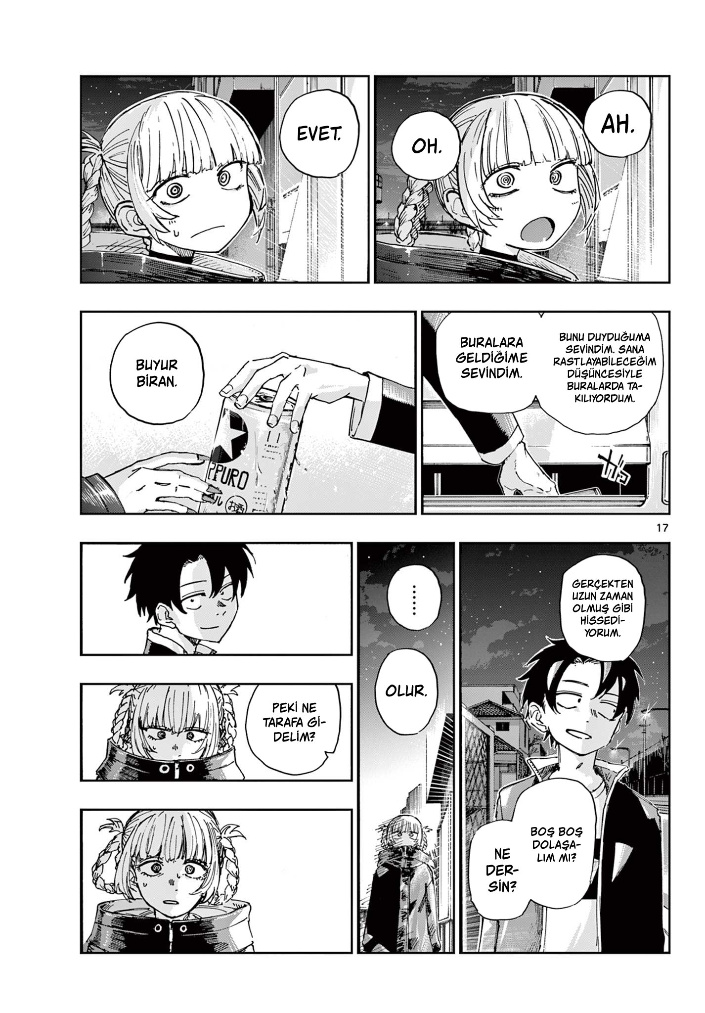 Sayfa 17