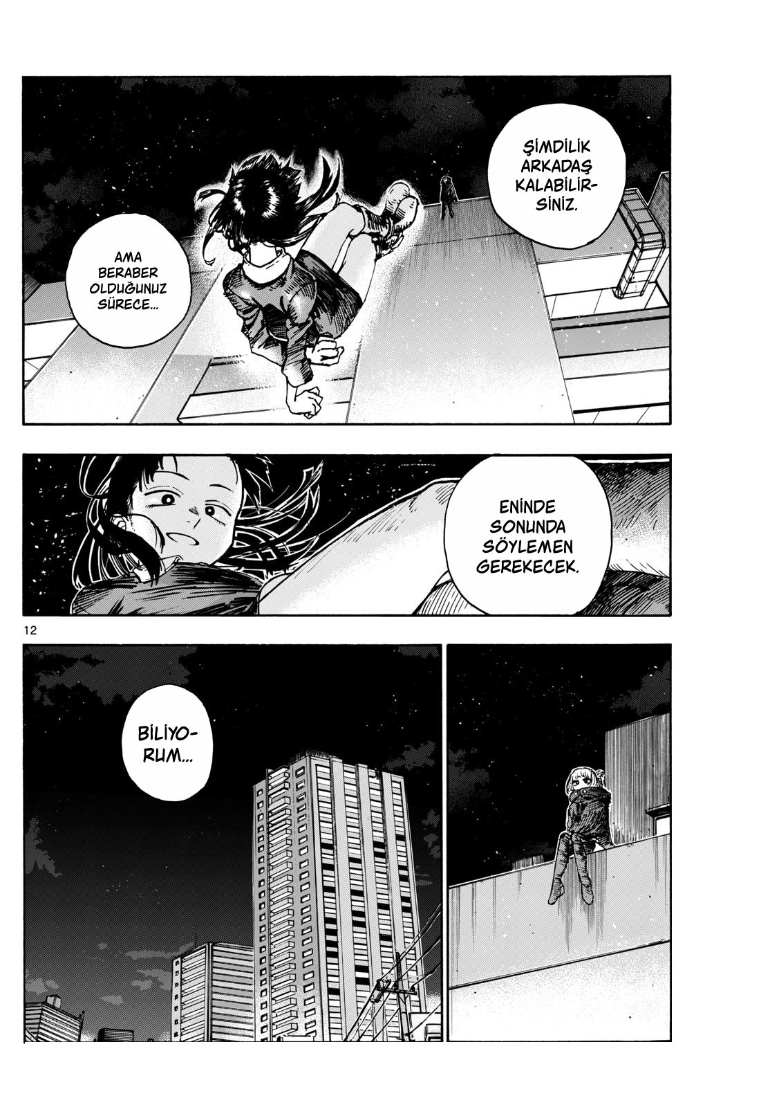 Sayfa 12