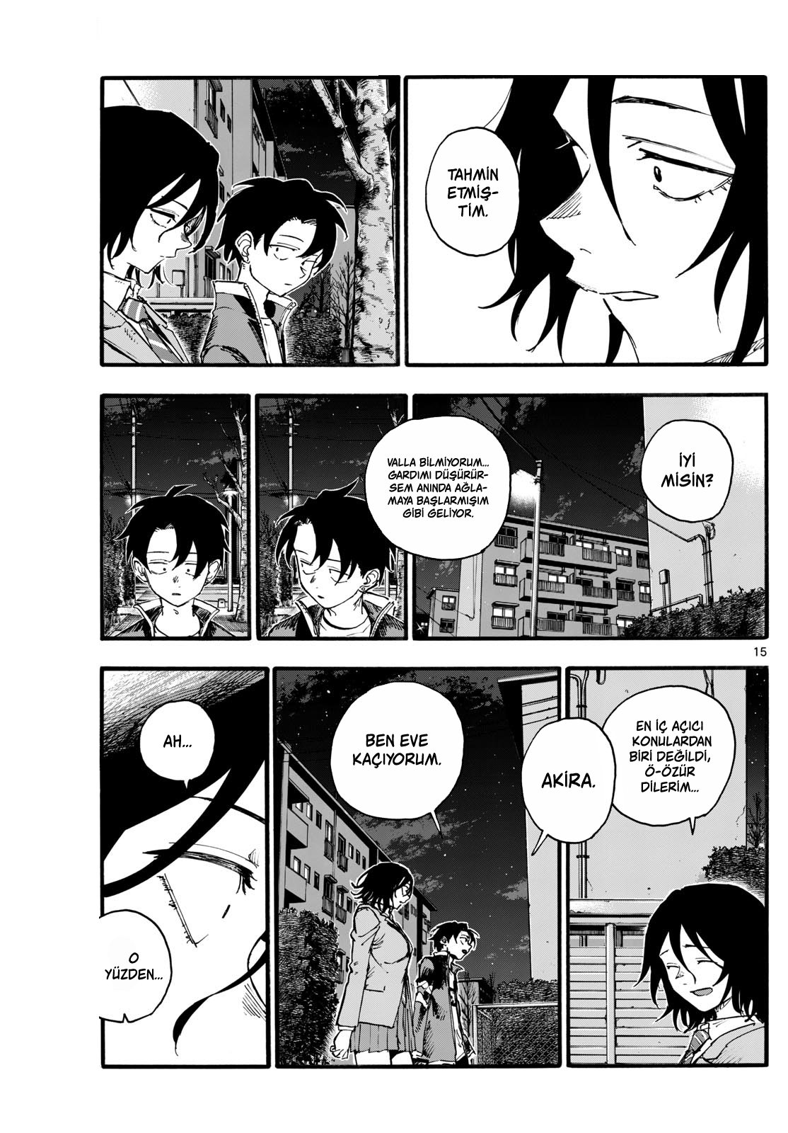 Sayfa 15