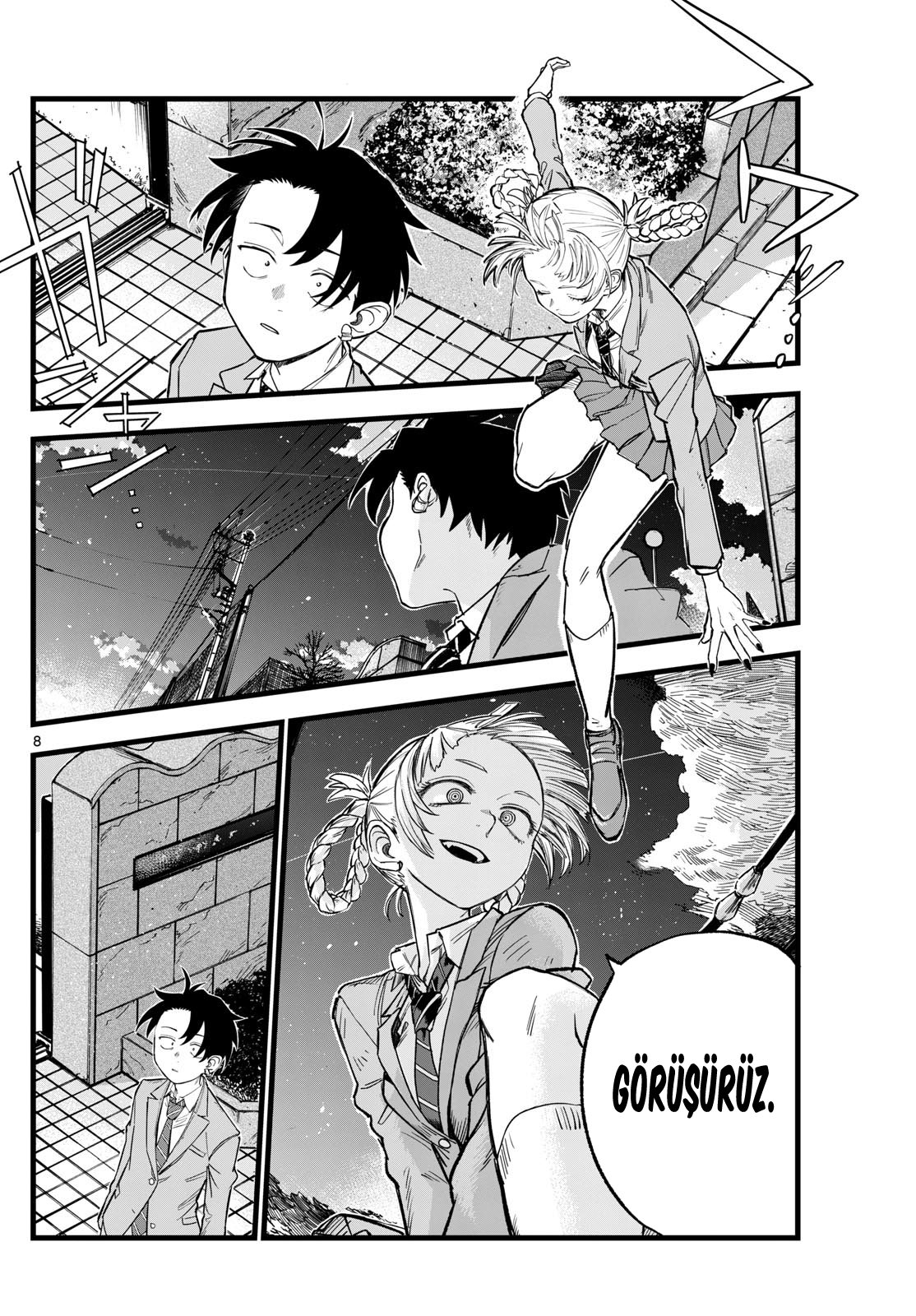 Sayfa 8