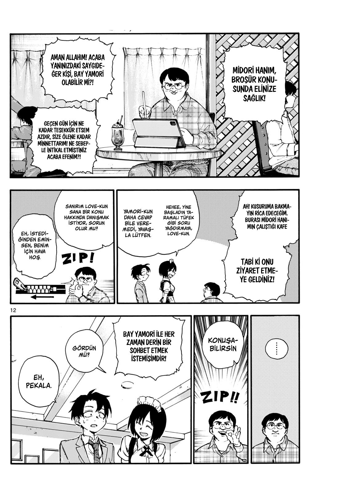 Sayfa 12