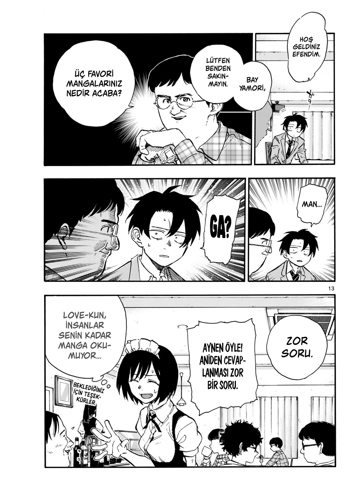 Sayfa 13