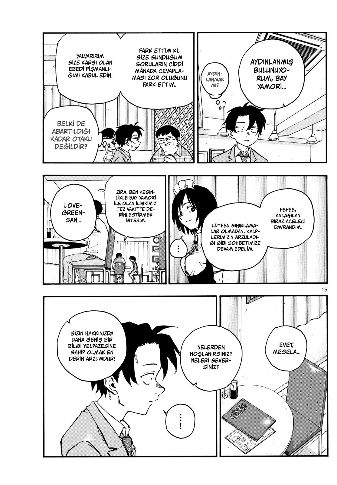 Sayfa 15