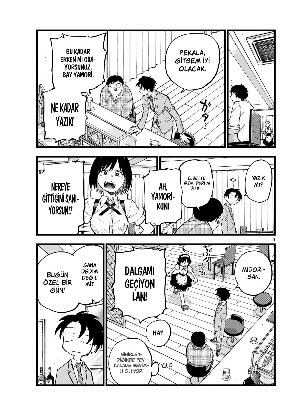Sayfa 9