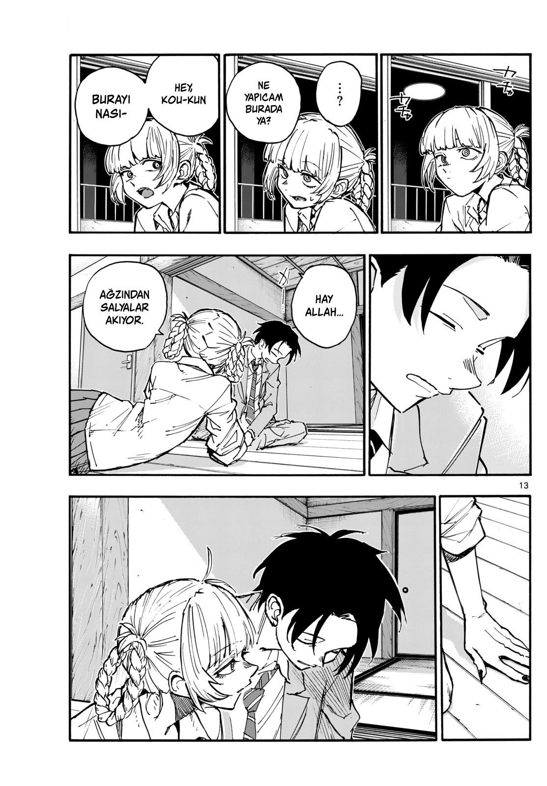 Sayfa 13