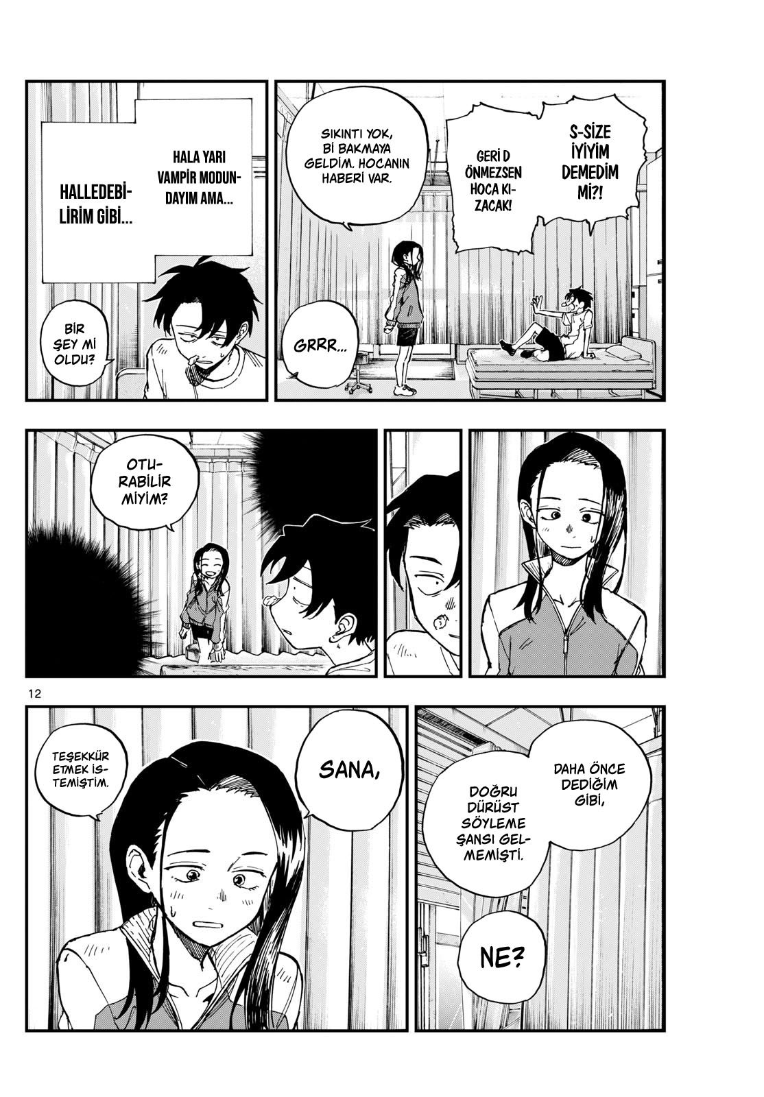 Sayfa 12