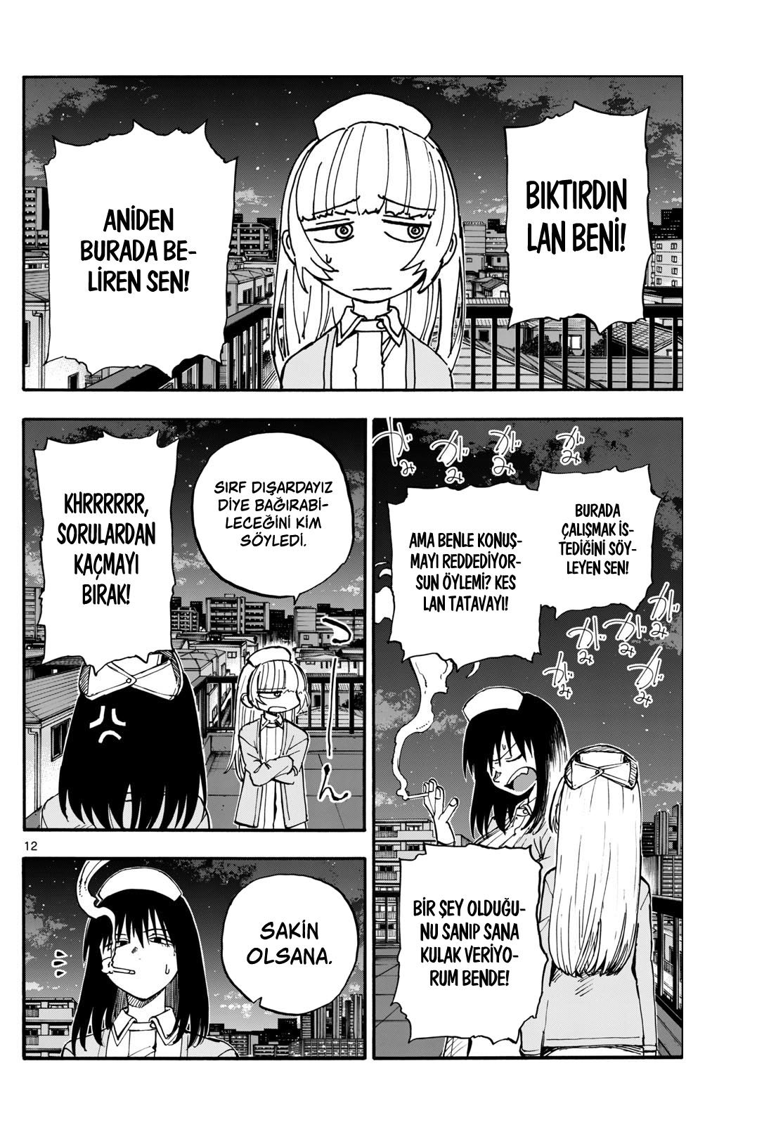 Sayfa 12