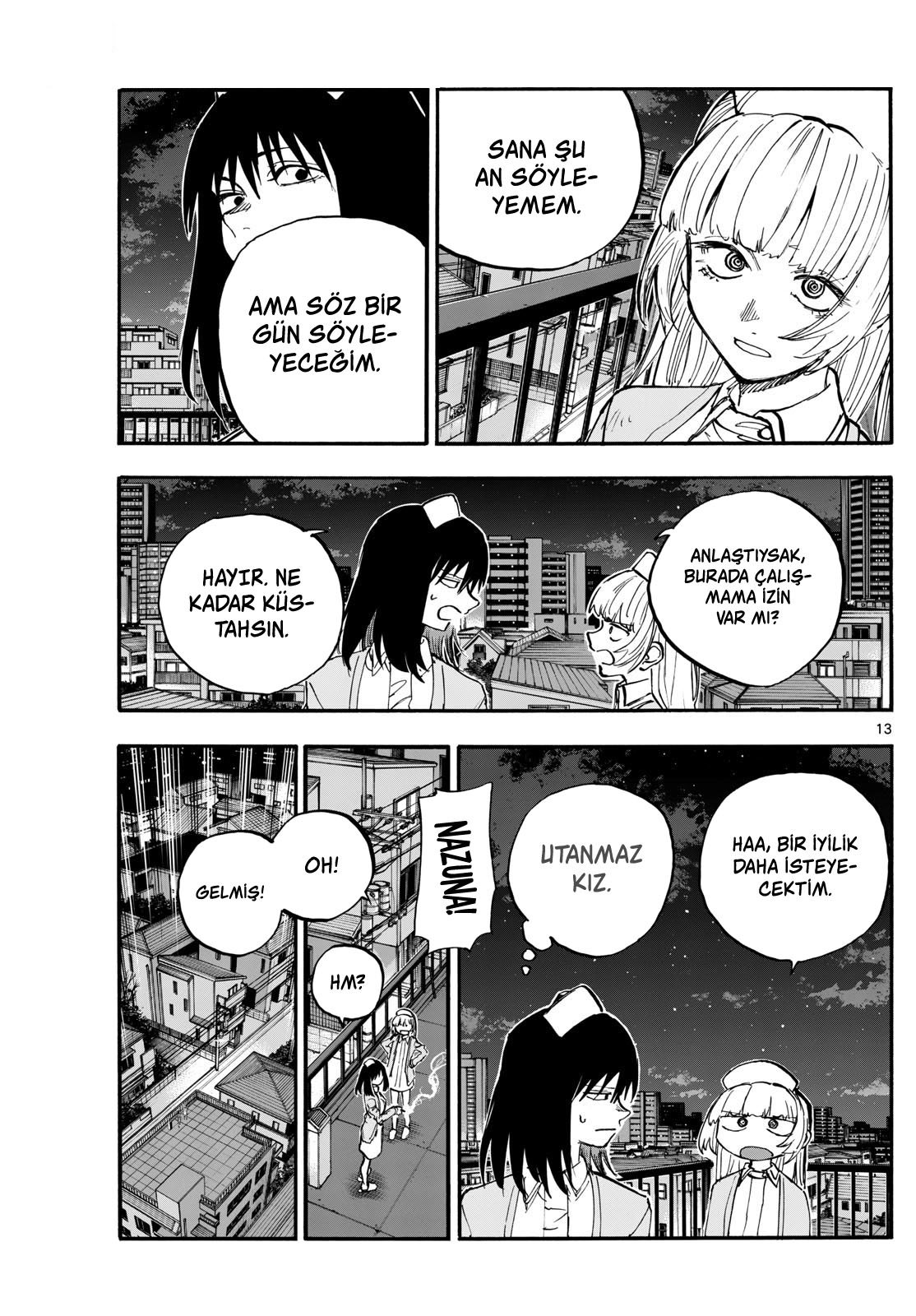 Sayfa 13