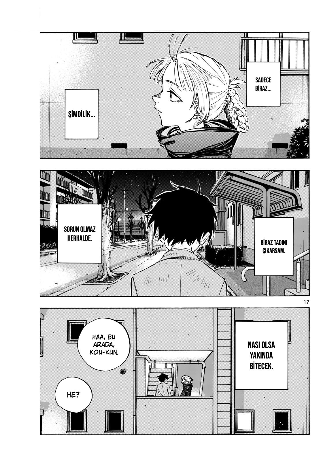 Sayfa 17