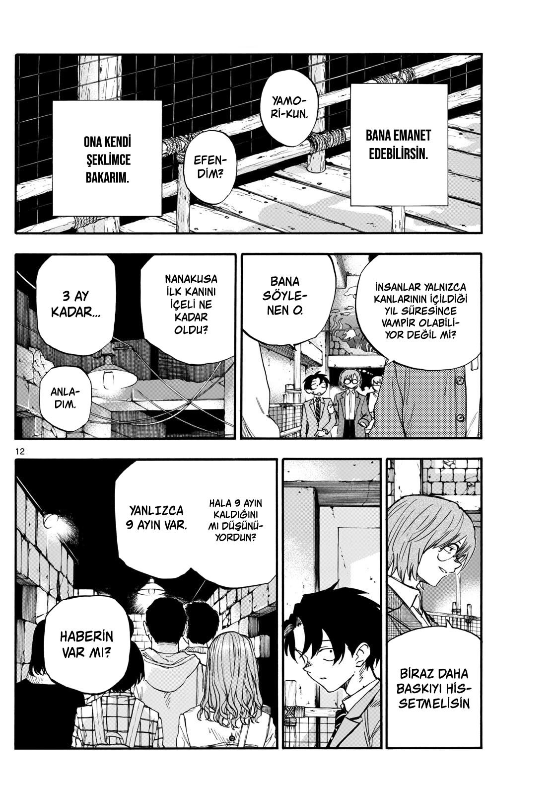 Sayfa 12