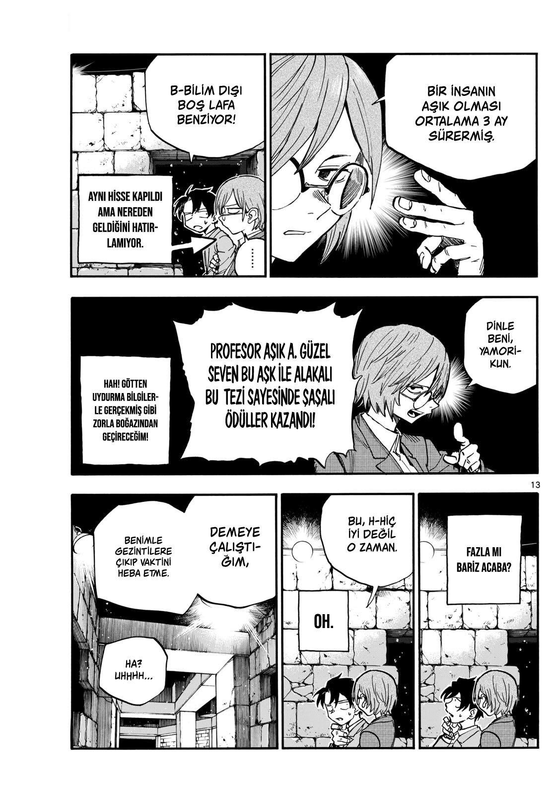Sayfa 13