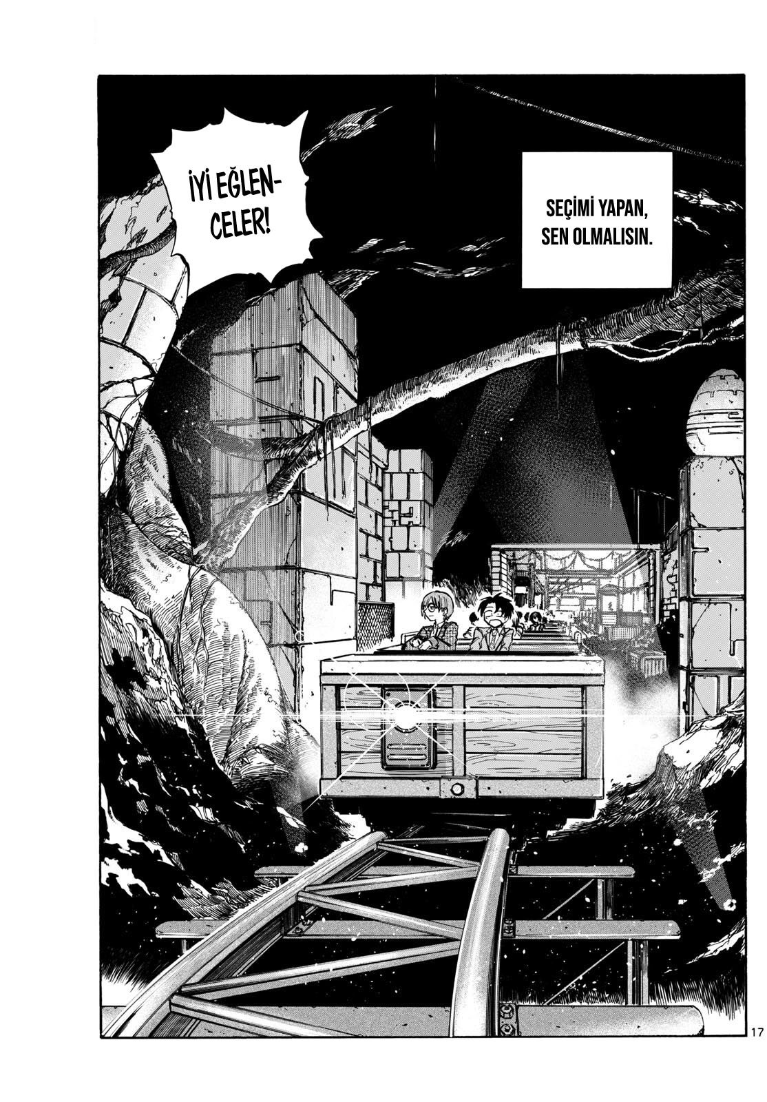 Sayfa 17
